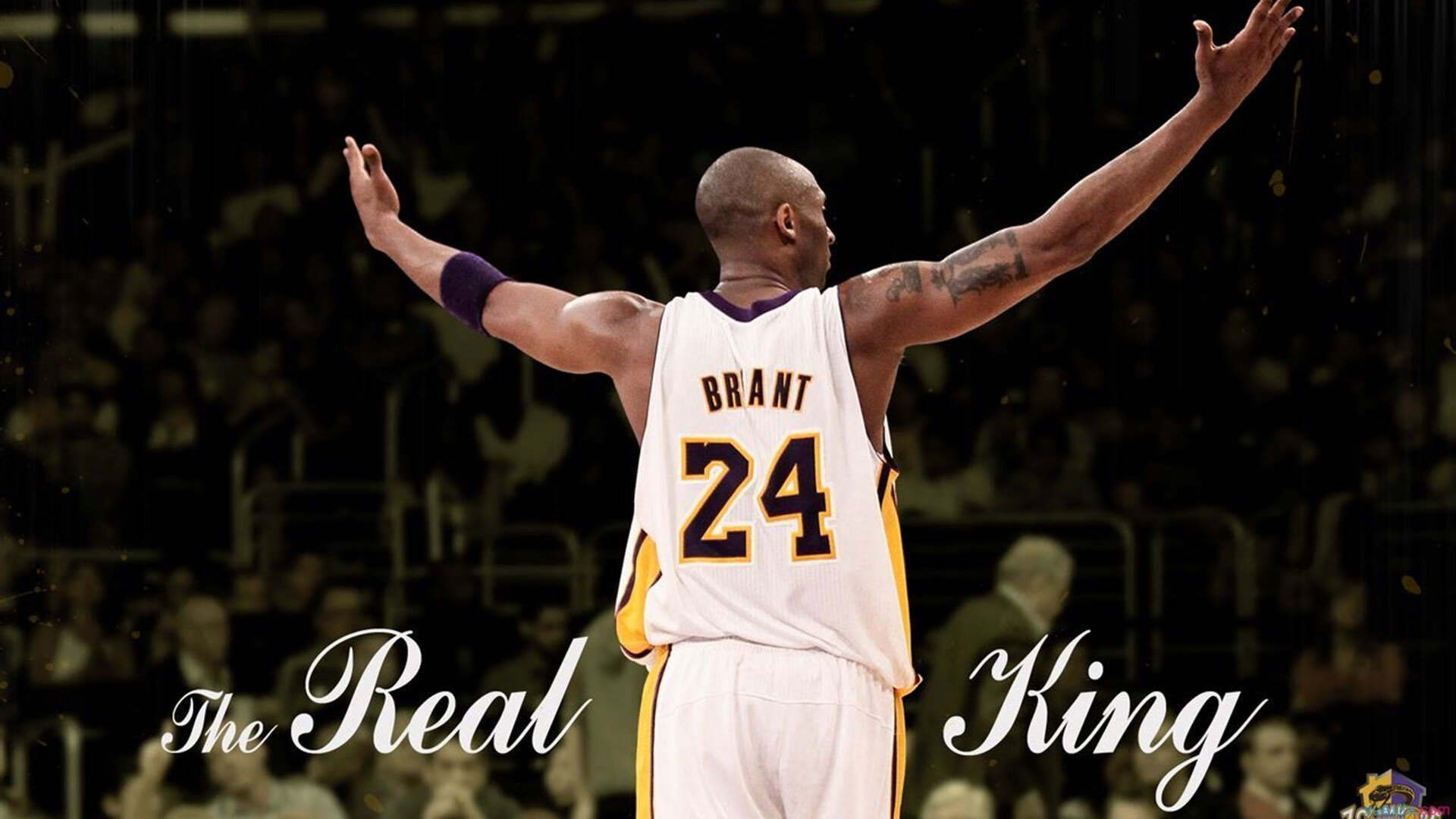 扎马莱克签约新医疗团队，提升球员健康管理，扎拉马克在哪里