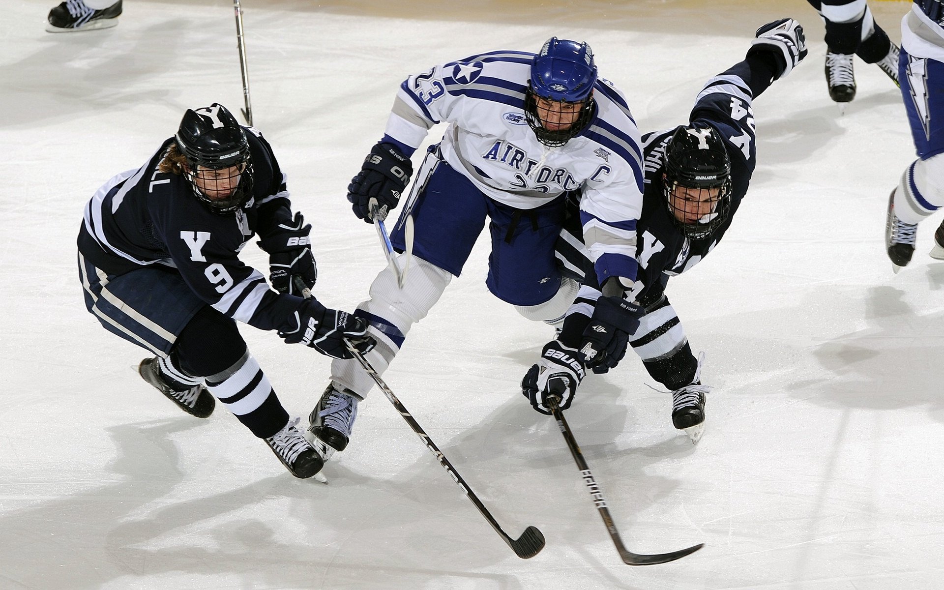 kaiyun-LCK粉丝活动热烈开展，lolkda粉丝福利